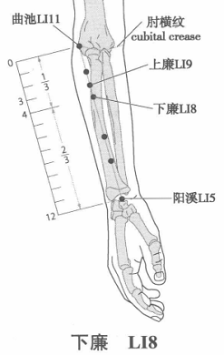 下廉.png 下廉.png