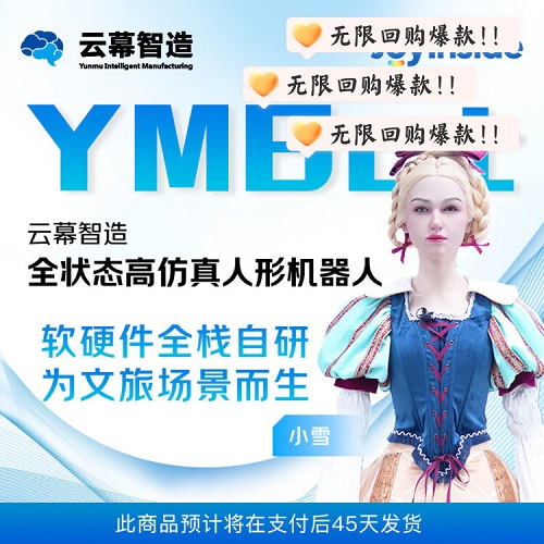 云幕智造文旅游景区人形机器人 情感陪伴科研教育 干活机器人