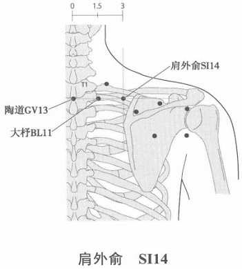 肩外俞.png