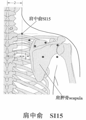 肩中俞.png 肩中俞.png