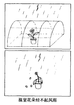 The Growth of Our Children.png