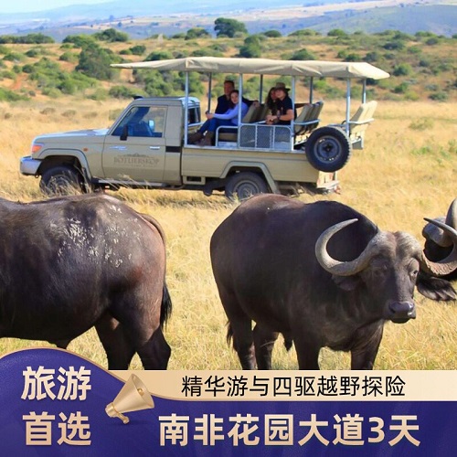 南非花园大道3日游 英文导游游猎