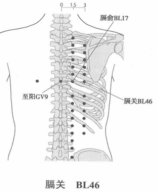 膈关.png