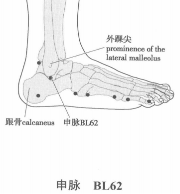 申脉.png