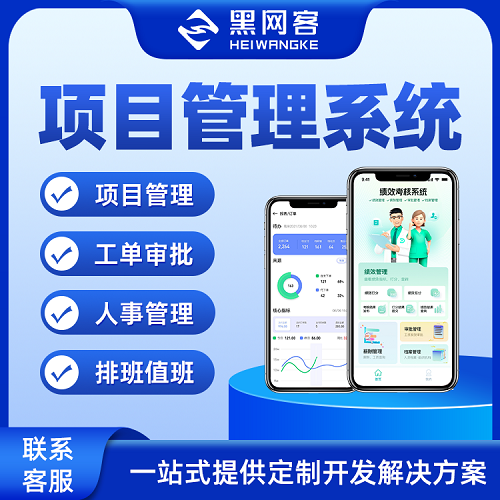 项目跟踪管理软件系统定制 小程序开发制作