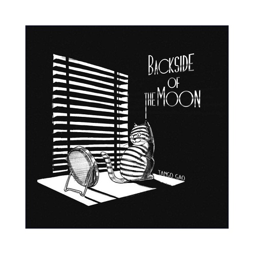 英文原版 Backside of the Moon 月球背面 幽默漫画