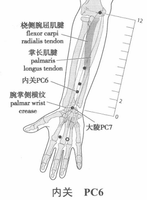 内关.png 内关.png