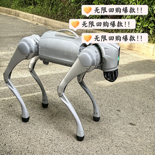机器狗出租租赁，武装军事题材