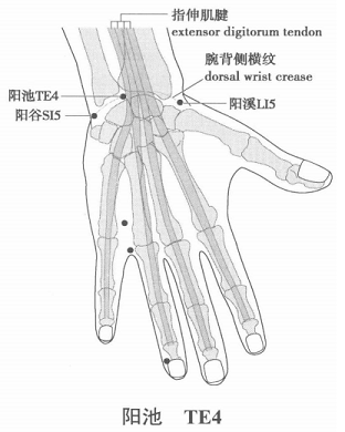 阳池.png 阳池.png