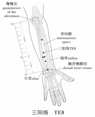 三阳络.png 三阳络.png