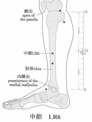 中都.png 中都.png