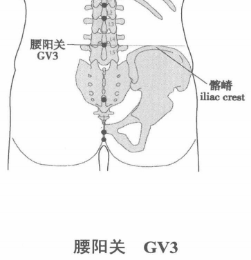 腰阳关.png