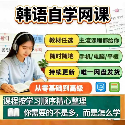 韩语自学网课 延世韩国语新标准高级topik考级