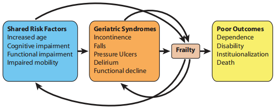 Geriatric syndromes.png