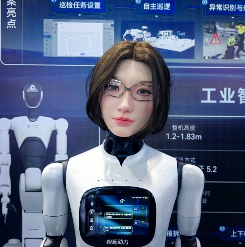 仿生机器人销售 高精度微表情