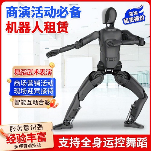 智能机器人租赁 迎宾营销活动智能交互人形机器人