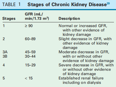 the glomerular filtration rate