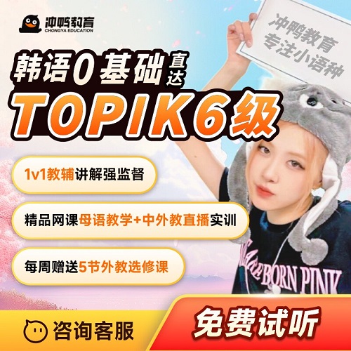 冲鸭韩语直播网课 延世外教 初/中/高级课程