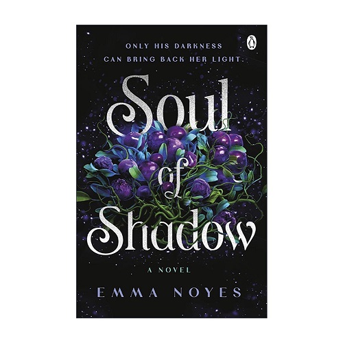 英文原版 Soul of Shadow 暗影之魂 青少年奇幻小说
